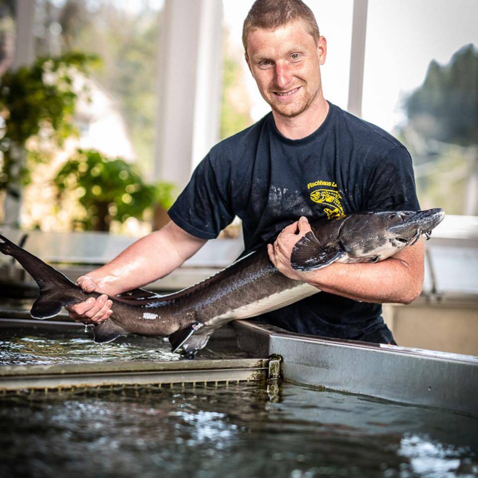 PerfectMoney: Angelpark Fischhaus Letscher, Altensteig